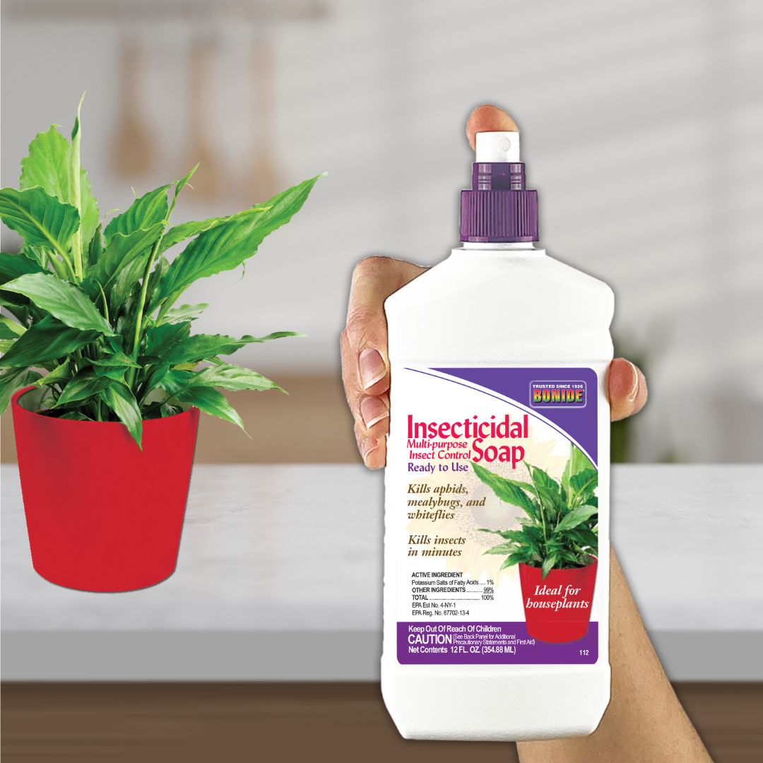 Insecticidal Soap Houseplant Spray – Bonide – 12 oz